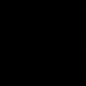 Meet your Posher, Ramona